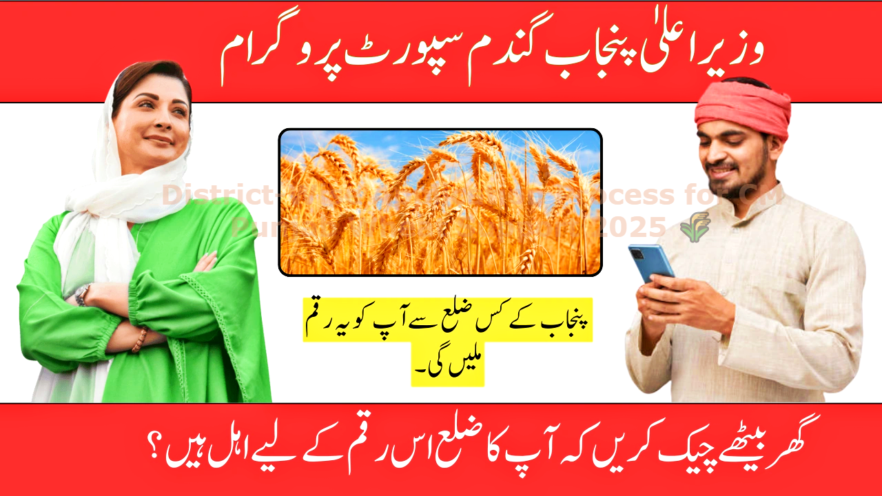 District-Wise Application Process for CM Punjab Wheat Support 2025 🌾