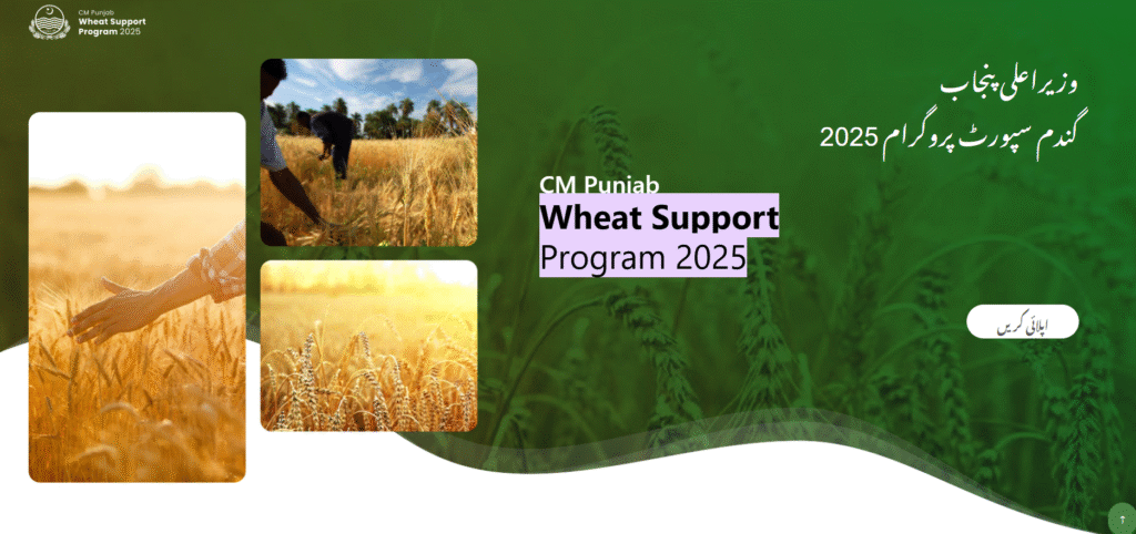 CM Punjab Wheat Support Program 2025