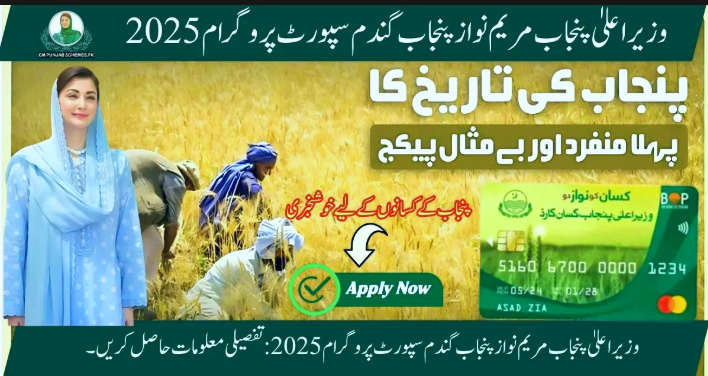 CM Punjab Approves