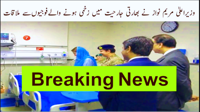 CM Maryam Nawaz Meets